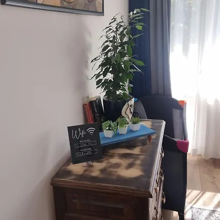 Apartment Mood Vibes *